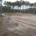 Campus terrein Terschelling - Abbink Boekelo Wegenbouw