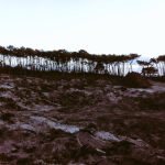 Campus terrein Terschelling - Abbink Boekelo Wegenbouw