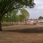 stakenbeek